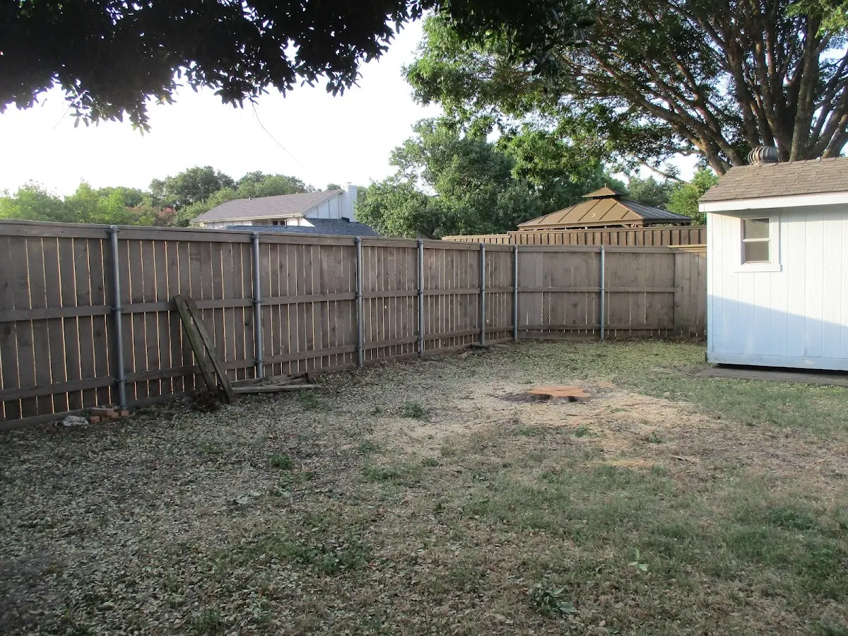 Cleared yard after professional tree removal in Marengo