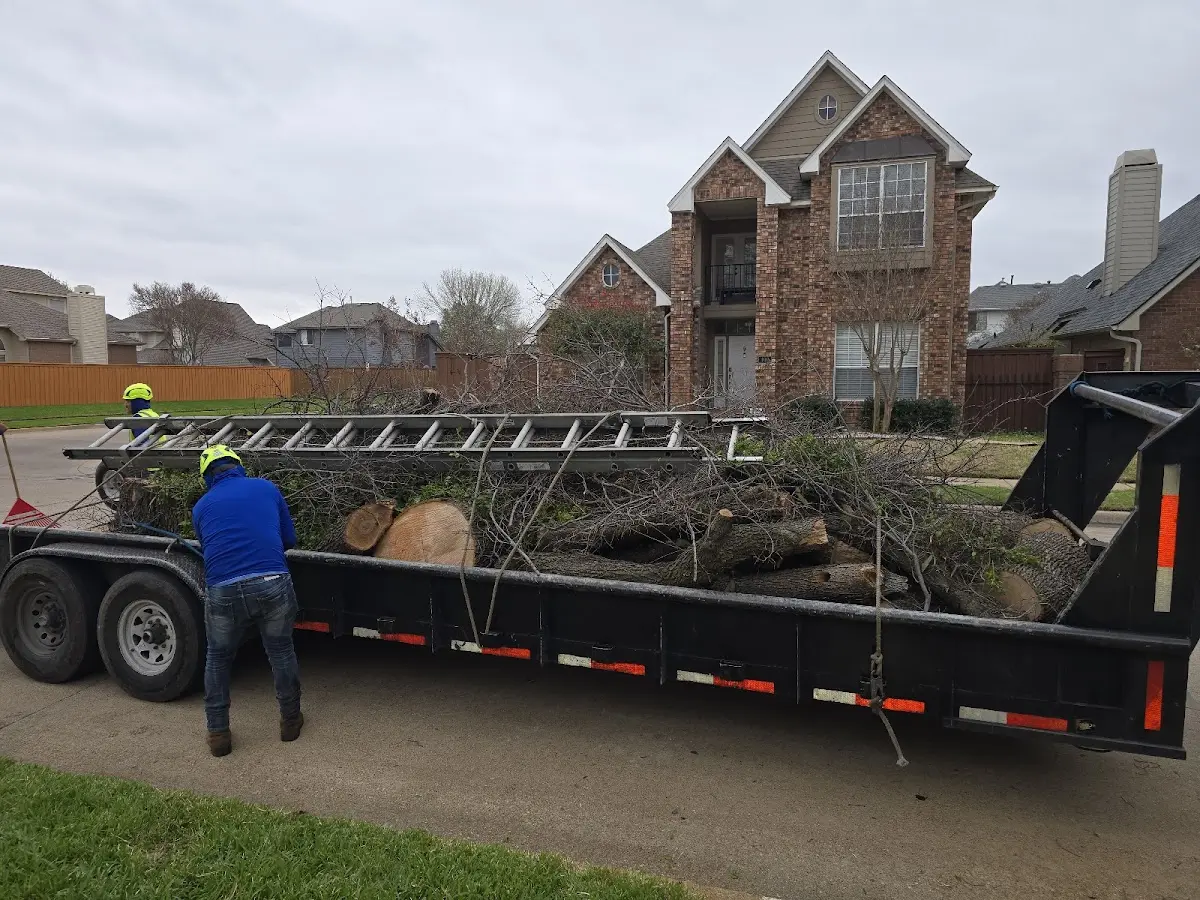 Expert Tree Fertilization with proper safety equipment in Marengo